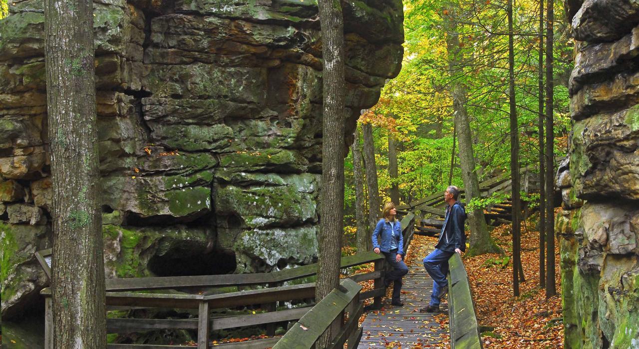 在西弗吉尼亚州斯诺肖附近的熊镇州立公园来一场宁静的徒步远足