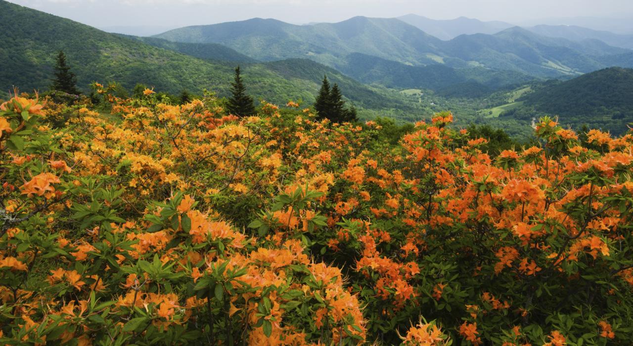北卡罗来纳州希科里沿途迷人风光
