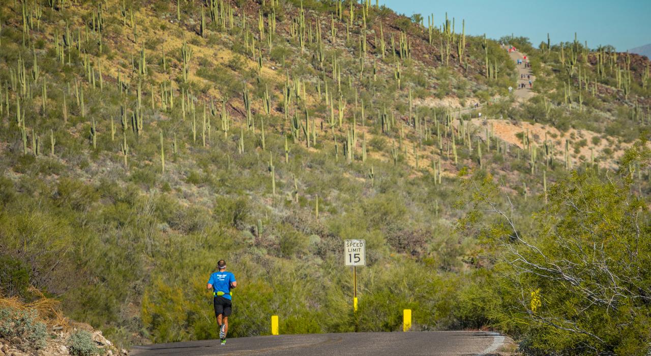 在图森野外跑步