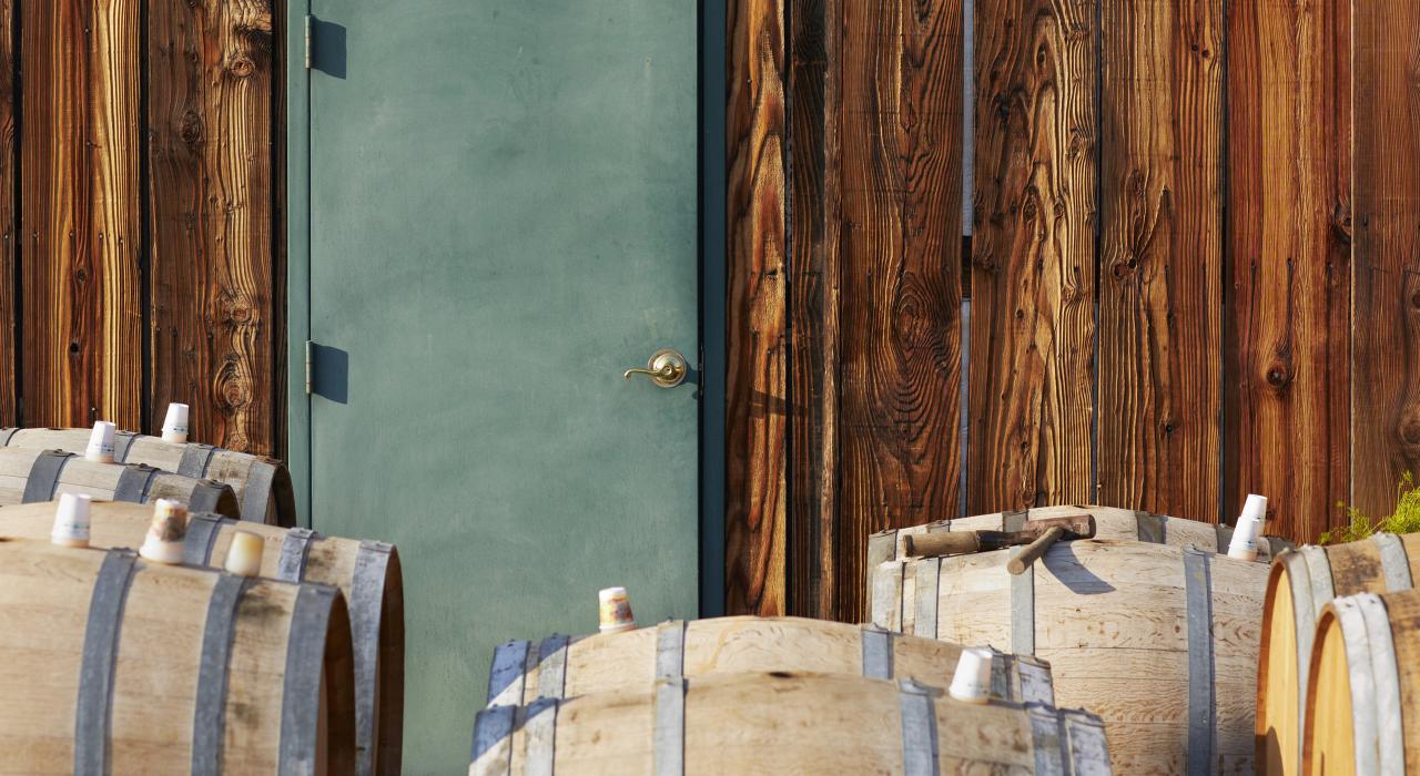 在 5 个秋季葡萄酒丰收节上畅饮。