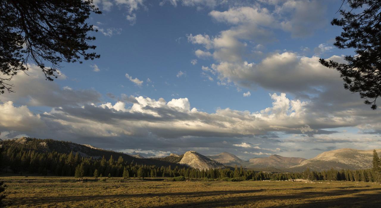 Unspoiled meadows in Yosemite National Park  Unspoiled meadows in Yosemite National Park