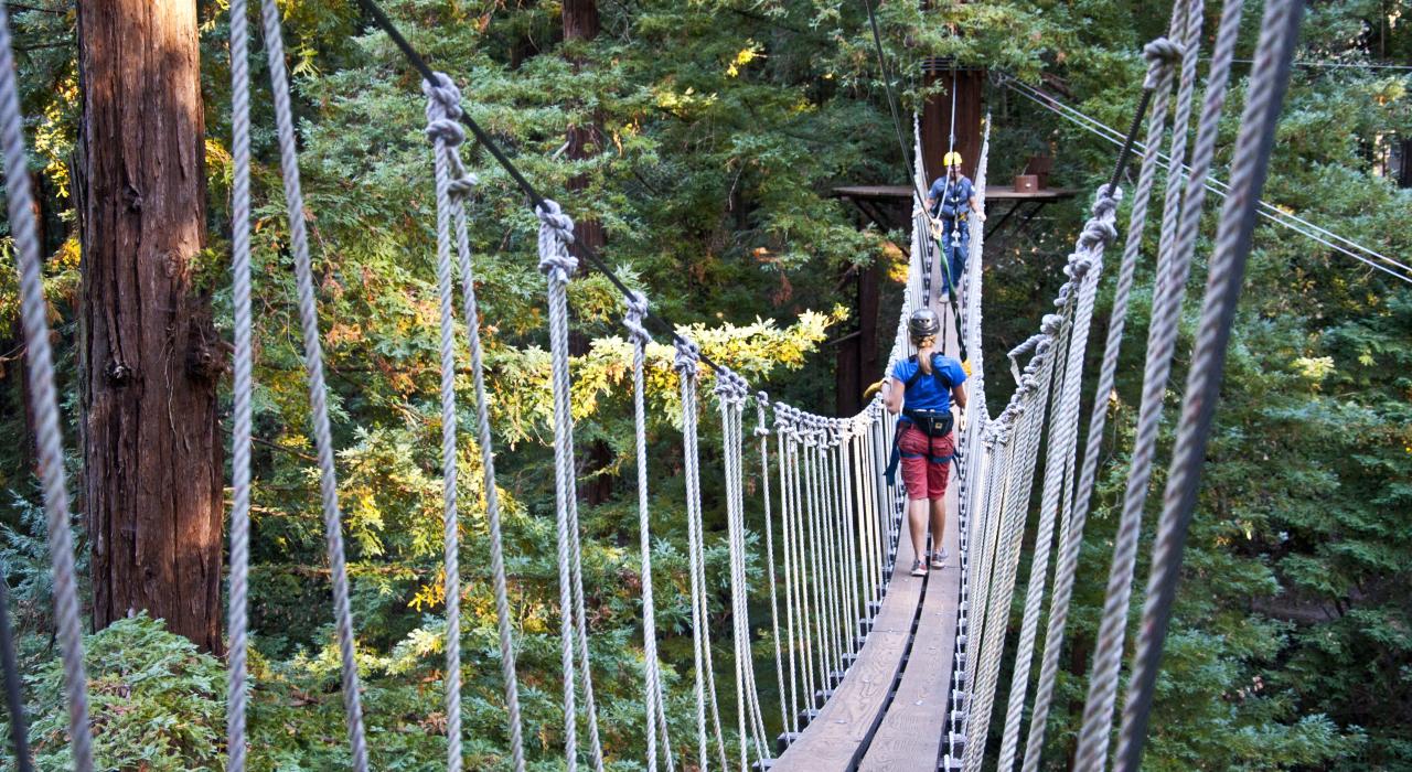 Crossing a narrow rope bridge during a canopy tour in a redwood forest Crossing a narrow rope bridge during a canopy tour in a redwood forest