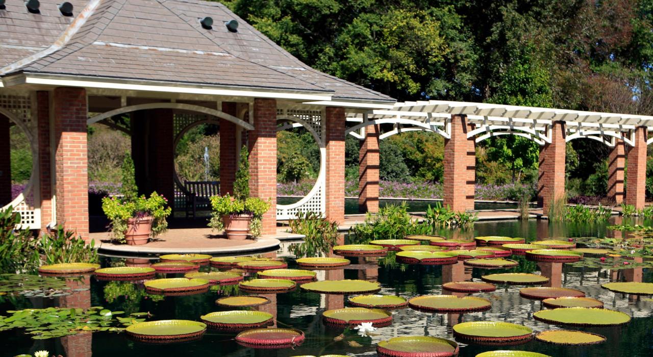 亨茨维尔植物园的 Damson 水上公园