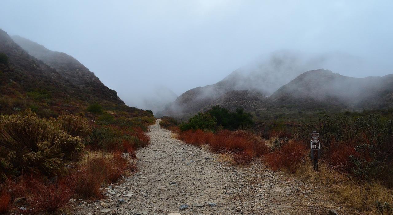 杜美金荒野公园中一条雾霭弥漫的小路