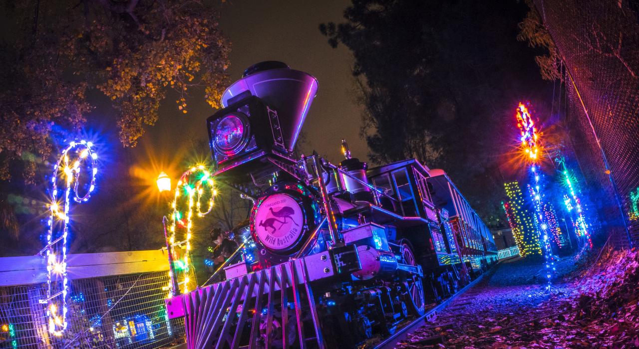 Neon lights illuminate the Outback Express train at Oakland Zoo Neon lights illuminate the Outback Express train at Oakland Zoo