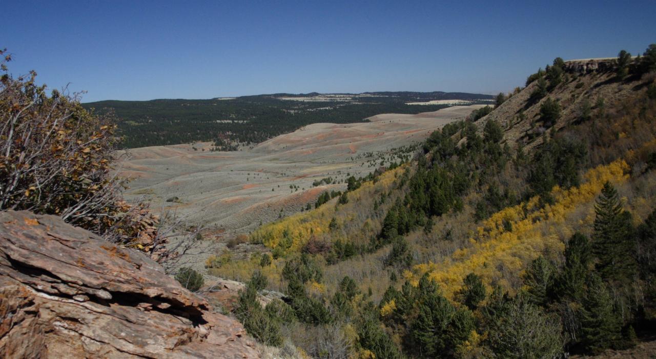 卡斯珀山上的野生花草 卡斯珀山上的野生花草