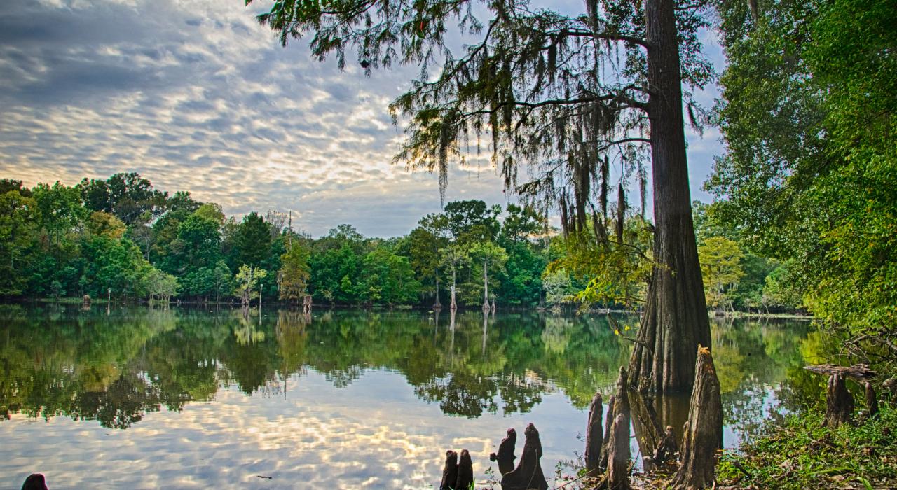 LeFleurs Bluff 州立公园夕景 LeFleurs Bluff 州立公园夕景