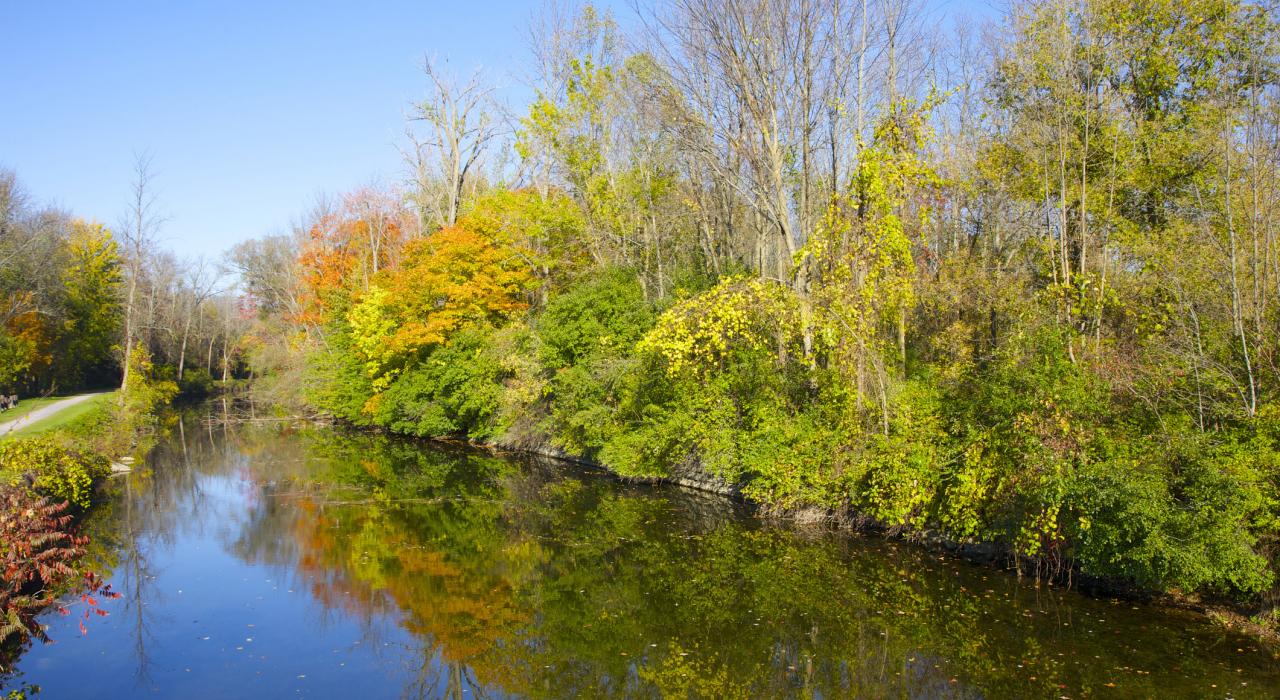 伊利运河沿岸一个阳光明媚的午后 伊利运河沿岸一个阳光明媚的午后