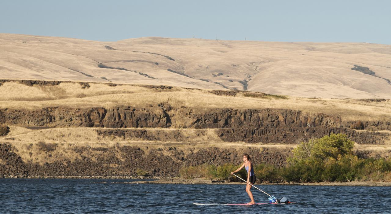 在哥伦比亚河中桨板冲浪 在哥伦比亚河中桨板冲浪