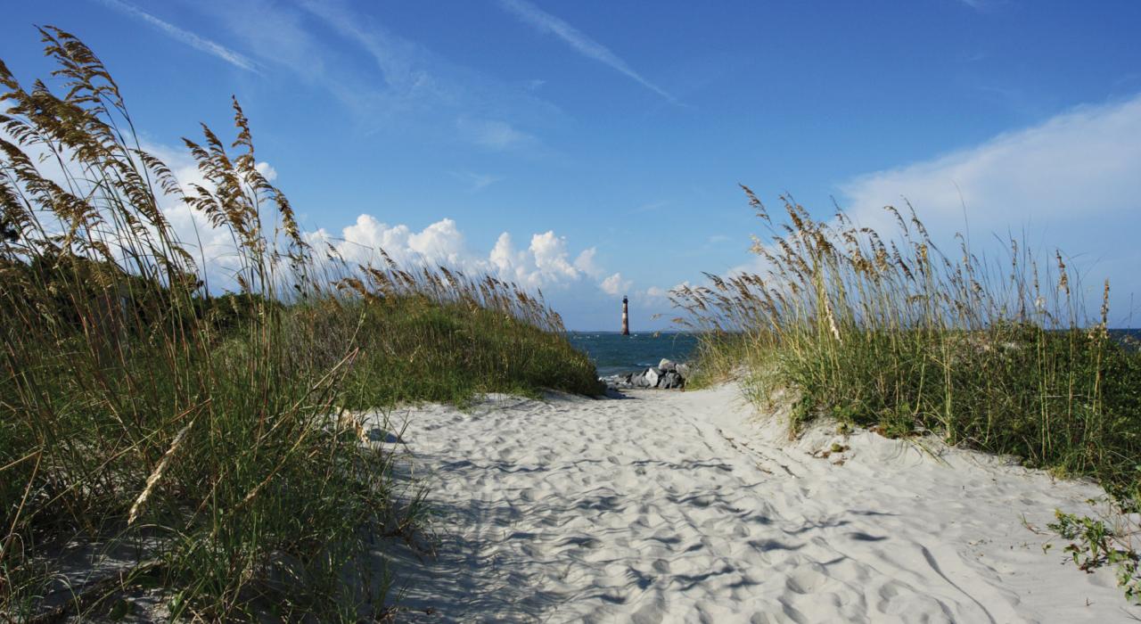 远处背景为莫里斯岛灯塔的海滩小径 远处背景为莫里斯岛灯塔的海滩小径