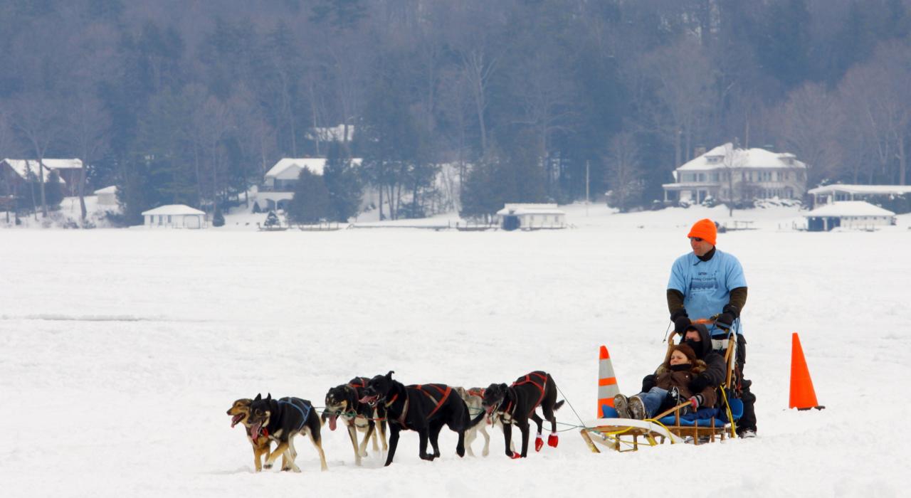 在乔治湖的冰面上乘坐狗拉雪橇 在乔治湖的冰面上乘坐狗拉雪橇
