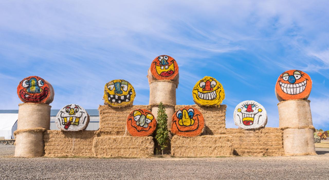 万圣节期间，塞勒姆南瓜农场中的滑稽笑脸