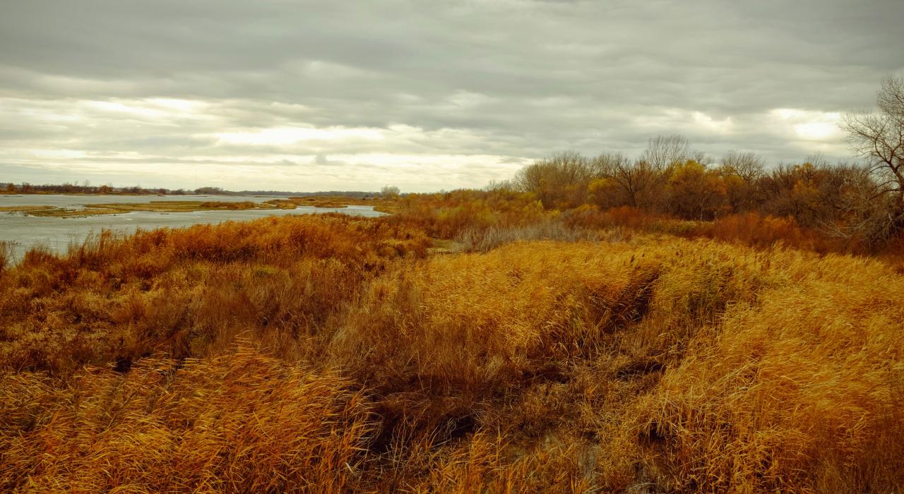 普拉特河沿岸的自然景观 普拉特河沿岸的自然景观