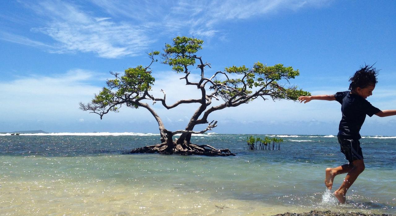 在庞塞美丽的沙滩上体验美好时光