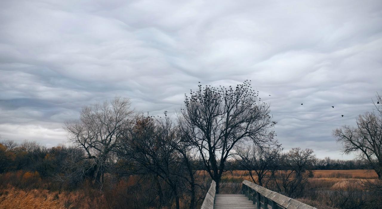 在普拉特河附近飞行的鸟群 在普拉特河附近飞行的鸟群