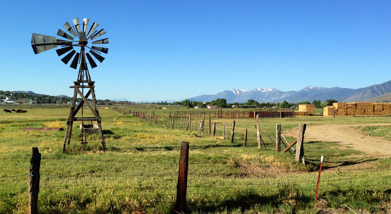 Farmland just outside the city