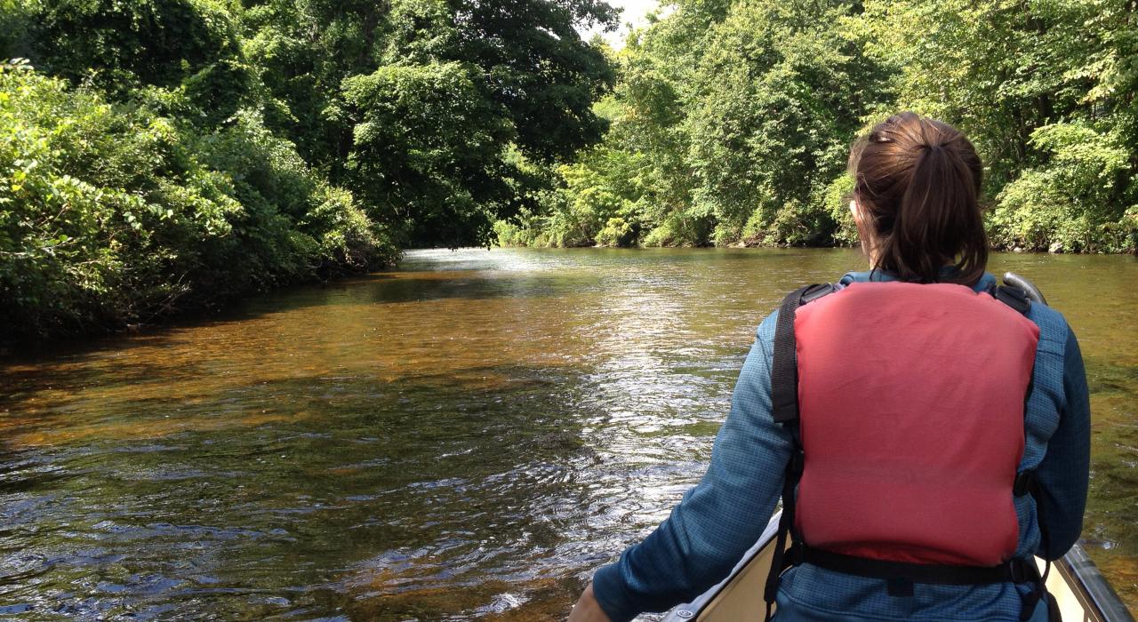 在茂密的植被环绕中一边欣赏美景一边划着独木舟前行