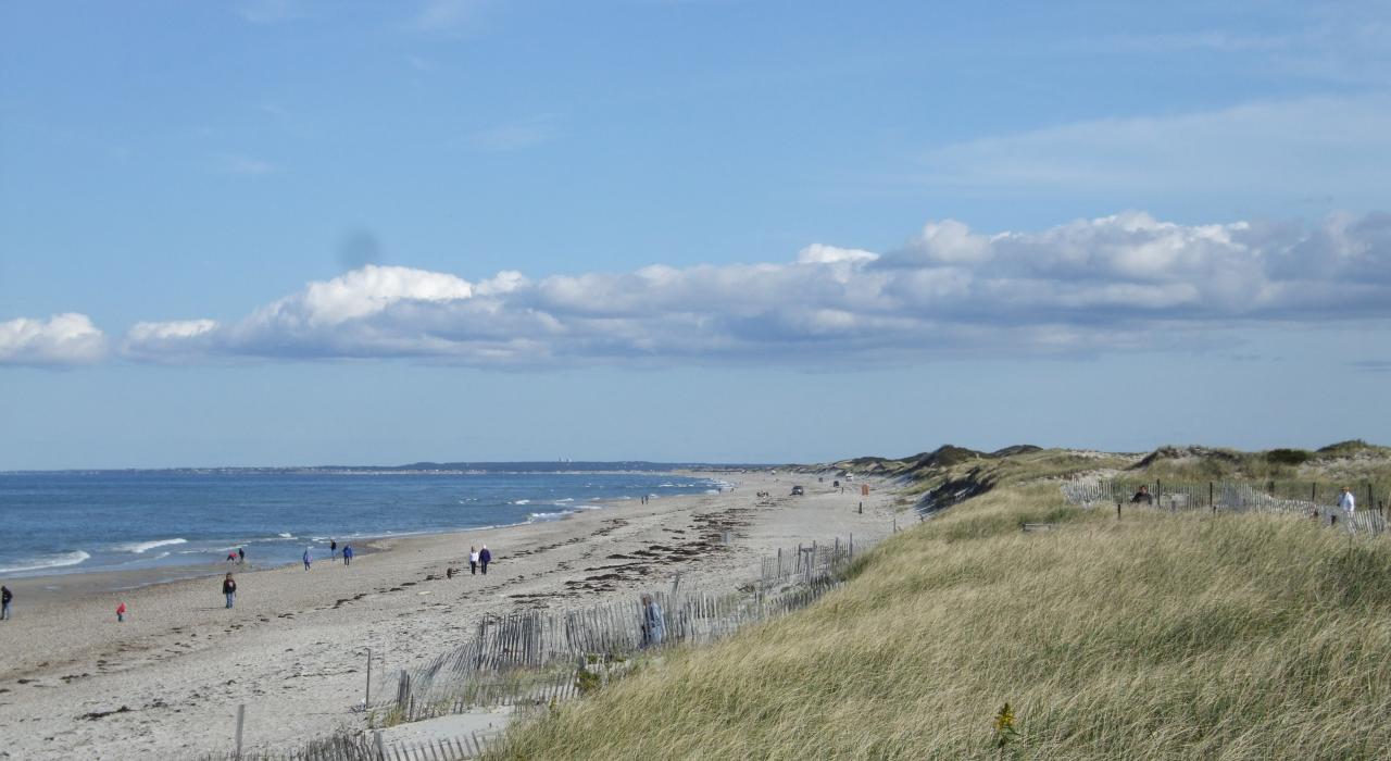 人们在沙颈海滩上享受明媚的阳光