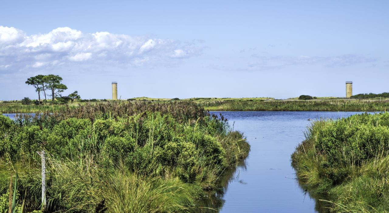 蜿蜒穿过戈登湖野生动物保护区的小径两旁宁静的环境 蜿蜒穿过戈登湖野生动物保护区的小径两旁宁静的环境