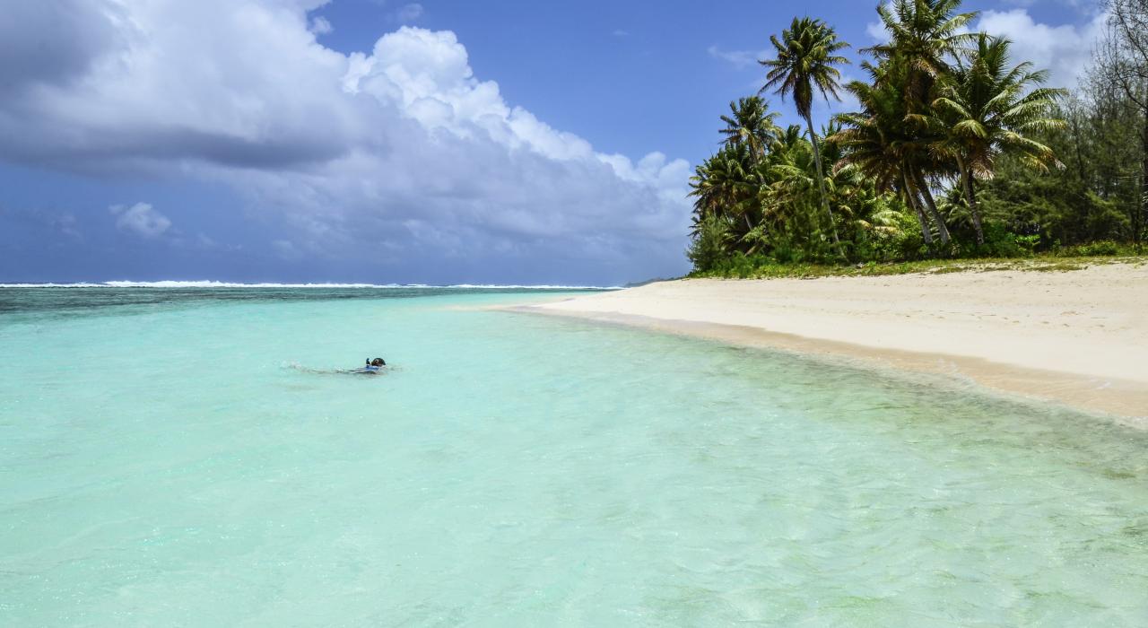 浮潜者欣赏水下风景 浮潜者欣赏水下风景