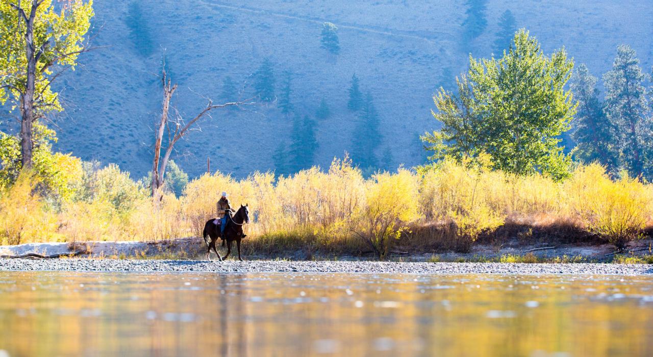 黎明时分在河岸边体验骑马的乐趣