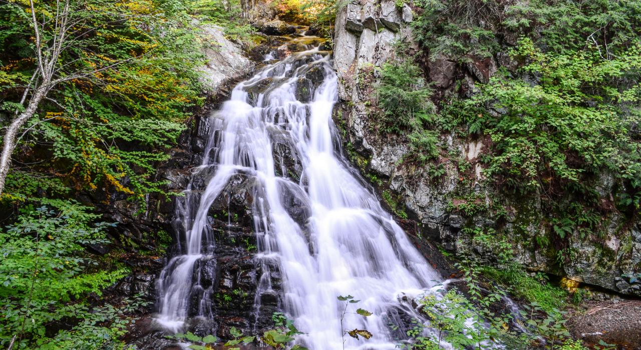 白山国家森林中的新娘面纱瀑布 白山国家森林中的新娘面纱瀑布