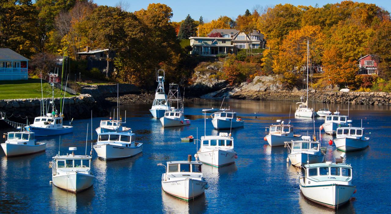 船只在帕金斯湾寻找避风港