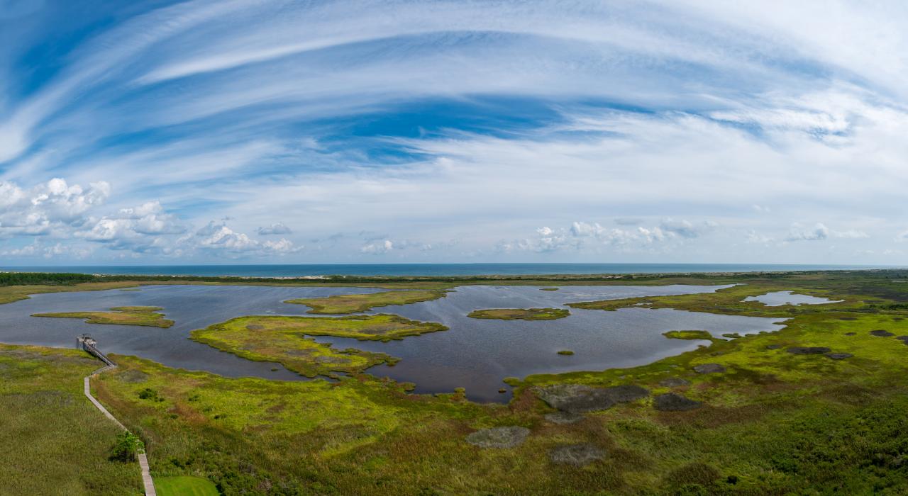 鸟瞰湿地生态系统 鸟瞰湿地生态系统