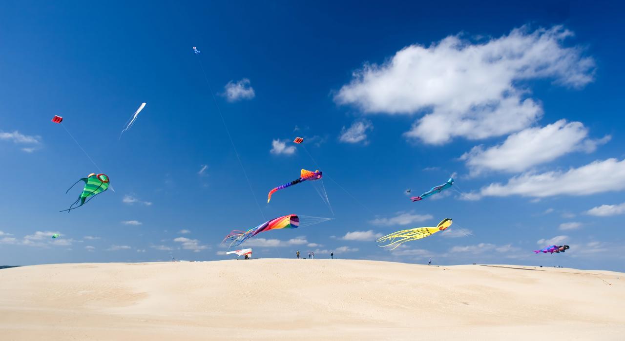 哈特拉斯角沙丘上空飞翔的风筝 哈特拉斯角沙丘上空飞翔的风筝