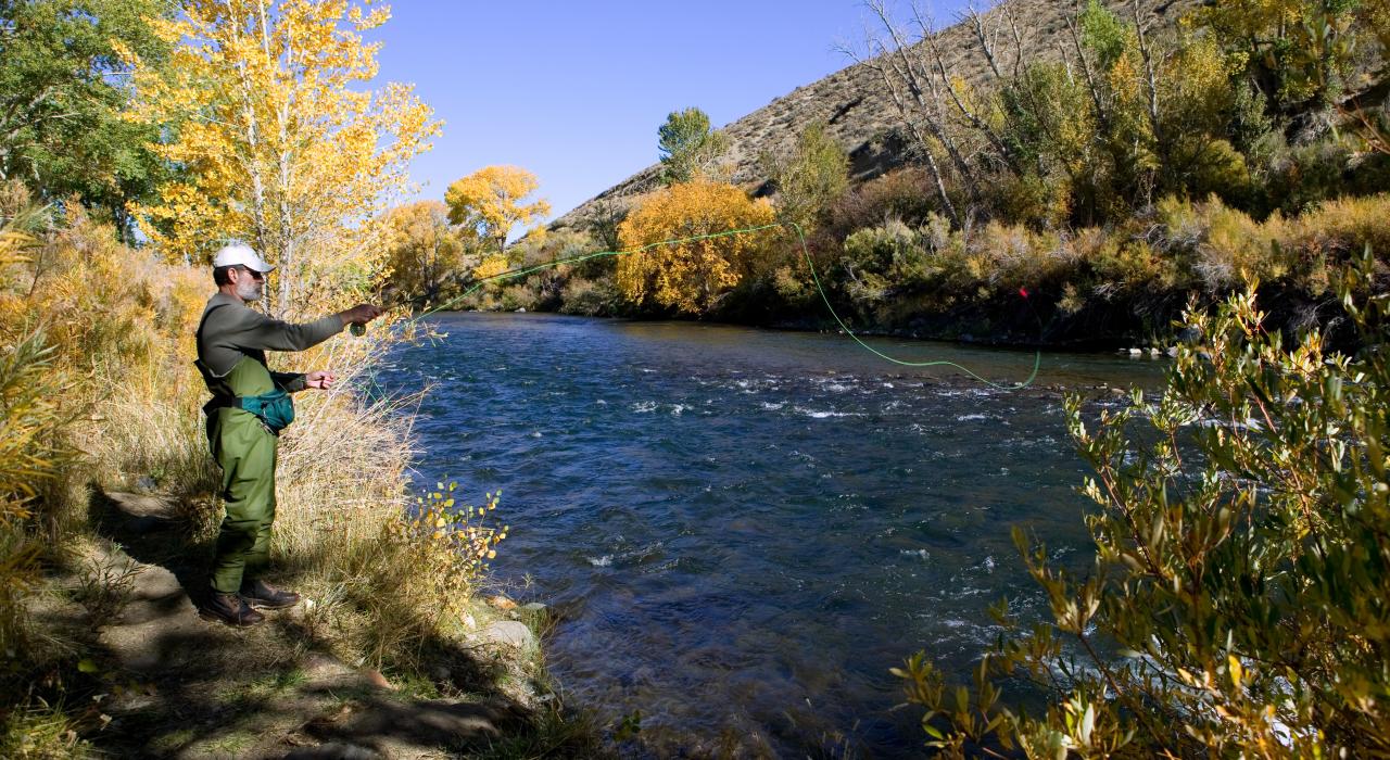 秋季在特拉基河体验飞钓的乐趣