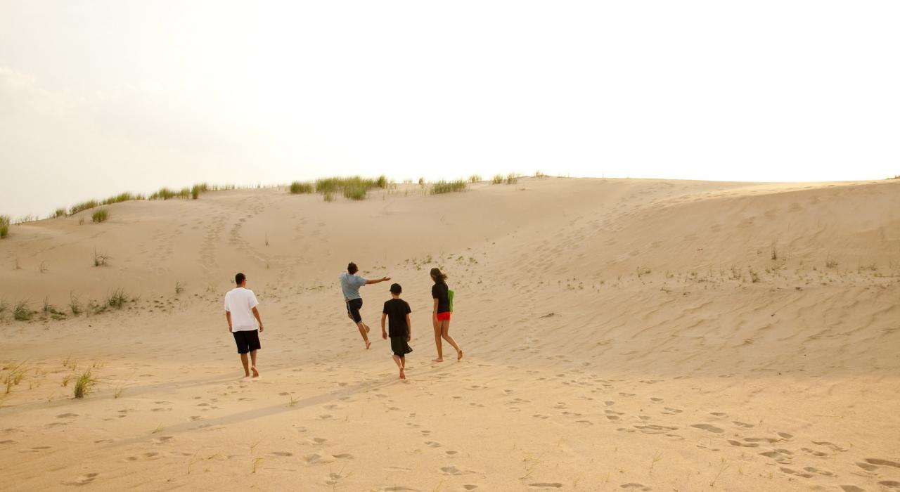 在骑师岭州立公园挑战美国东部最高的沙丘 在骑师岭州立公园挑战美国东部最高的沙丘