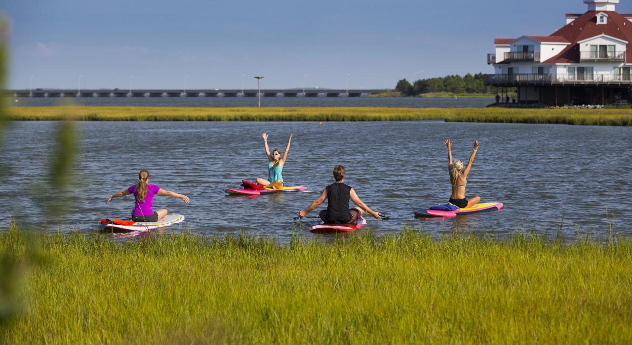 在单桨冲浪板上练瑜伽 在单桨冲浪板上练瑜伽
