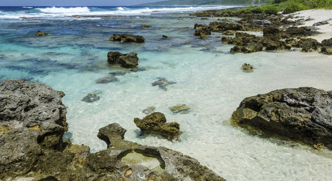 从晶莹清澈的海水中生长出的礁石 从晶莹清澈的海水中生长出的礁石