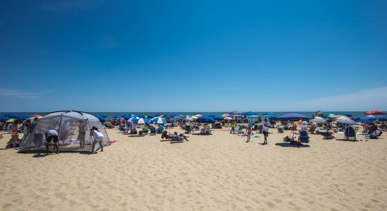 在沙滩上找个地方享受一天的日光浴和冲浪 在沙滩上找个地方享受一天的日光浴和冲浪