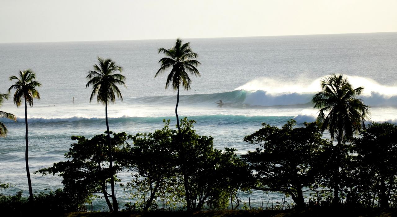 借助完美海浪尽情冲浪