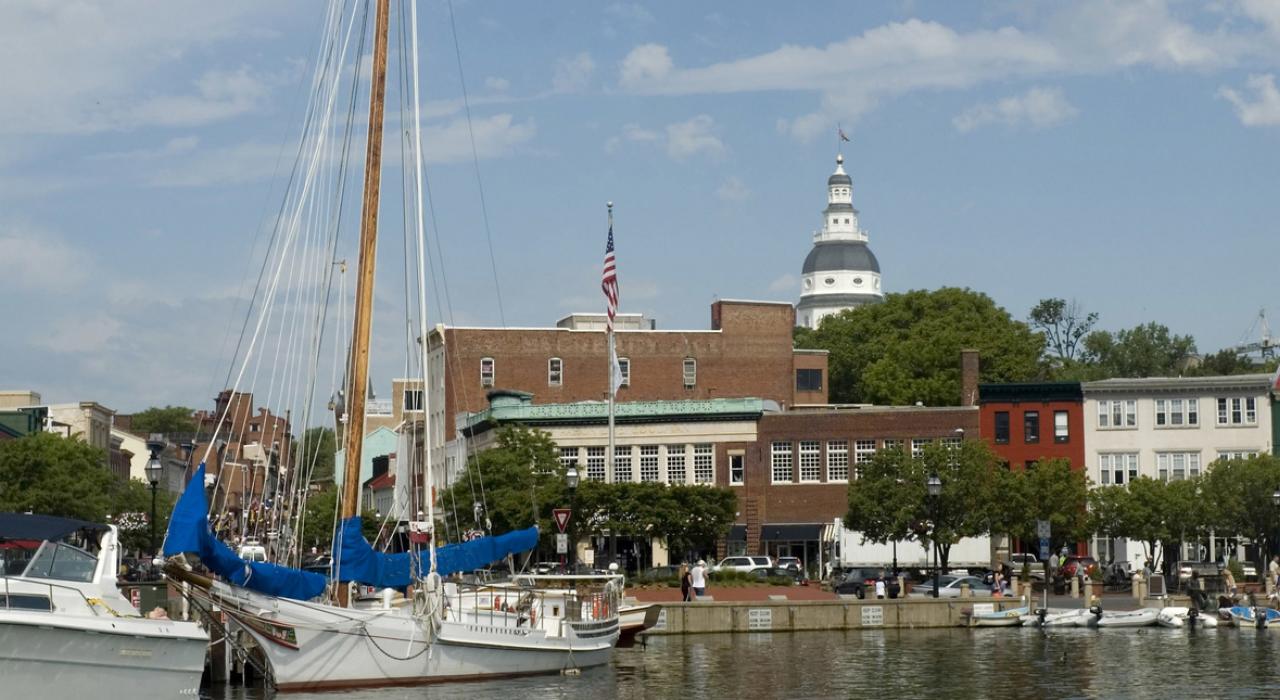 在市区海港,将美景尽收眼底 在市区海港,将美景尽收眼底