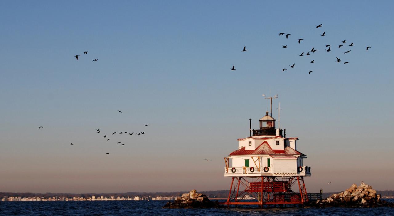 鸟儿在所罗门岛附近的 Drum Point Lighthouse 灯塔上空飞翔 鸟儿在所罗门岛附近的 Drum Point Lighthouse 灯塔上空飞翔