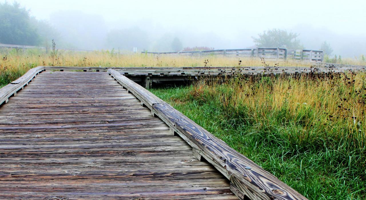 蜿蜒经过大平原自然中心的木板步道