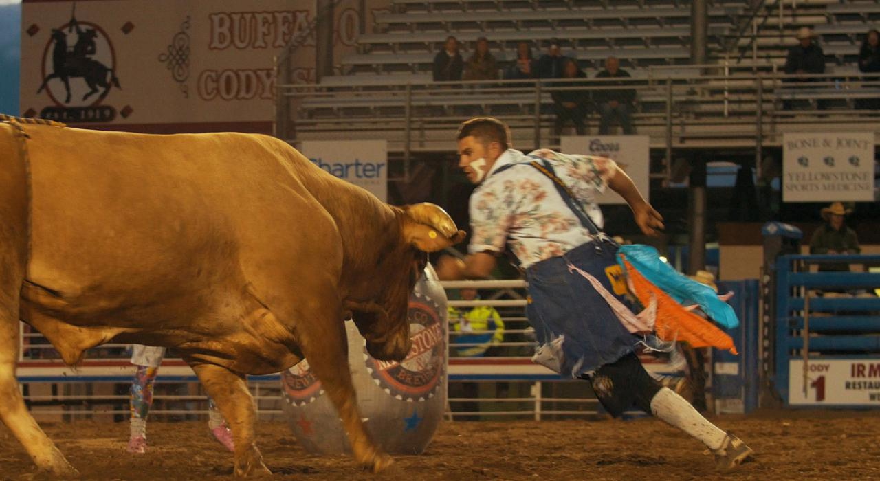 Cody Nite Rodeo 竞技表演场内正在紧张对抗的斗牛小丑和公牛 Cody Nite Rodeo 竞技表演场内正在紧张对抗的斗牛小丑和公牛