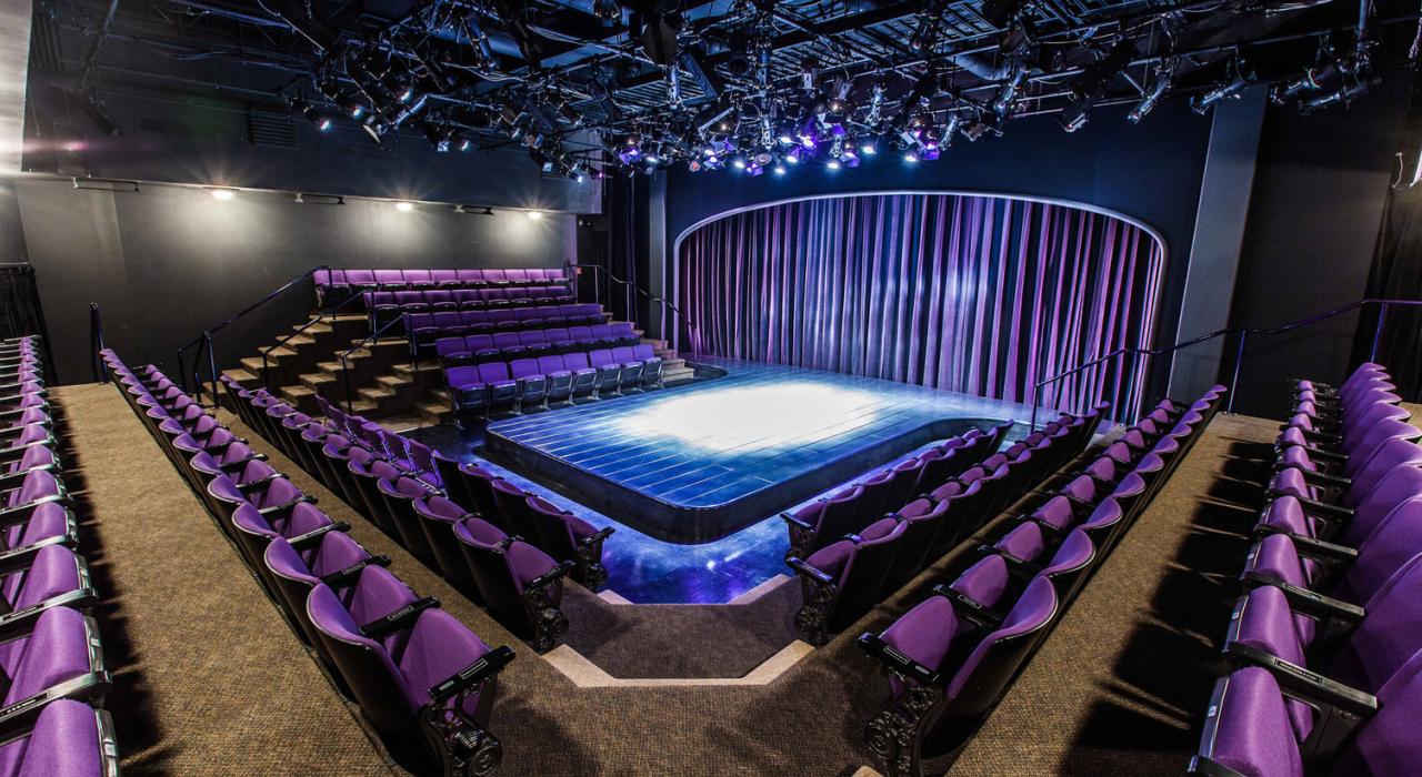 Interior of the Purple Rose Theatre Interior of the Purple Rose Theatre