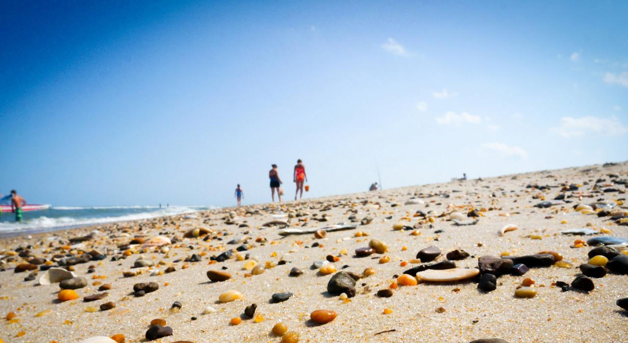 漫步在绵延的海滩上寻找美丽的贝壳和石子 漫步在绵延的海滩上寻找美丽的贝壳和石子