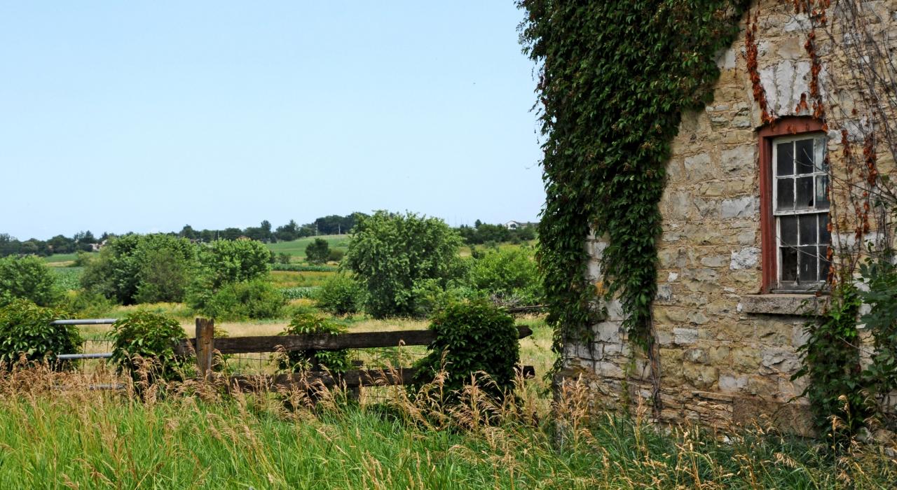 悬挂在乡村古老的石灰石谷仓边的常春藤 悬挂在乡村古老的石灰石谷仓边的常春藤