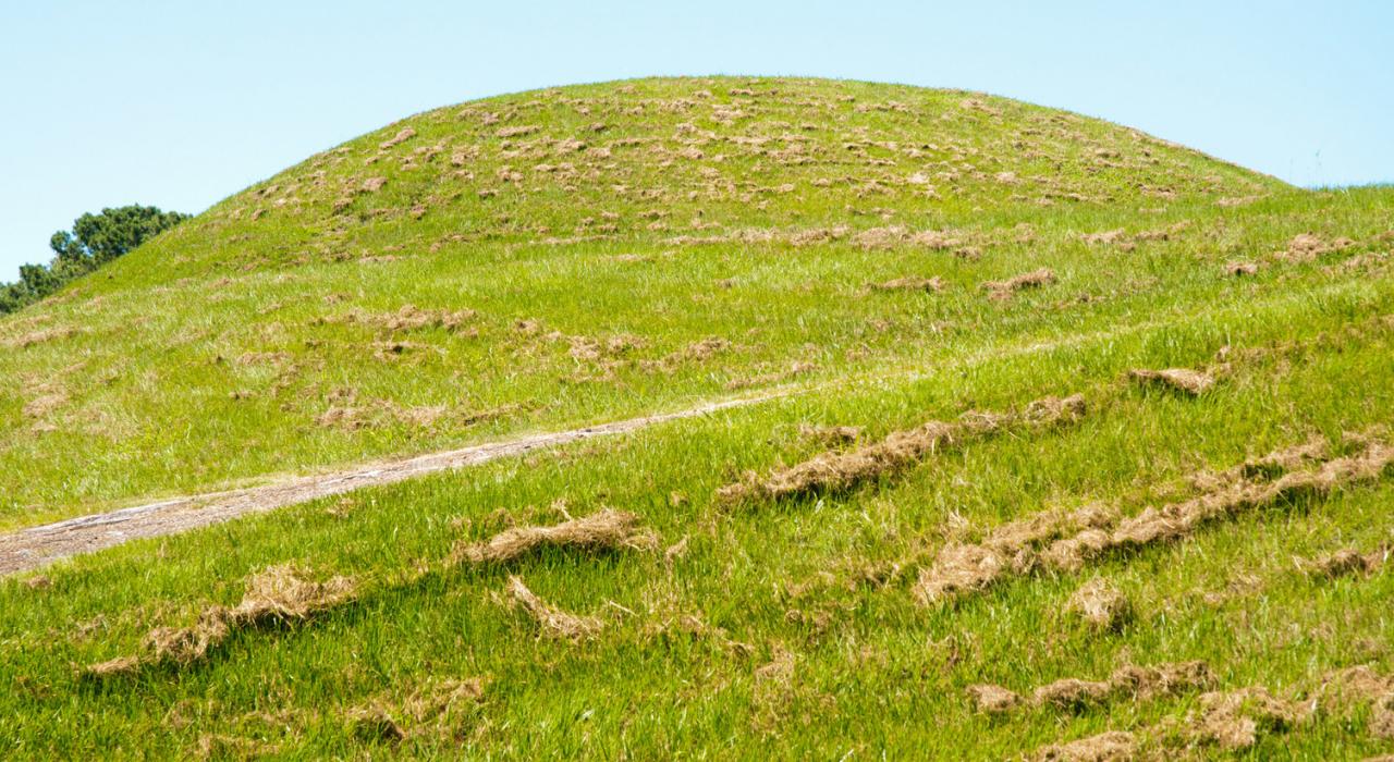 密西西比州纳奇兹东北部的 Emerald Mound Site 密西西比州纳奇兹东北部的 Emerald Mound Site