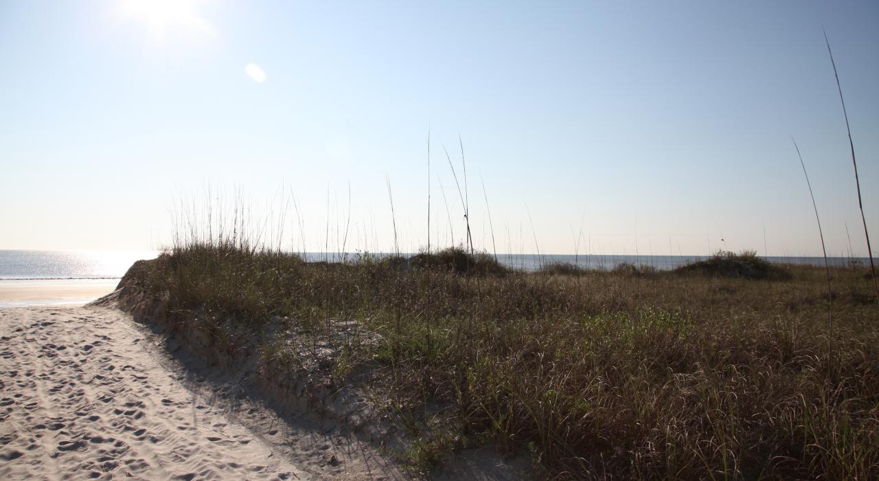 杰克逊维尔海滩沙丘上的小径