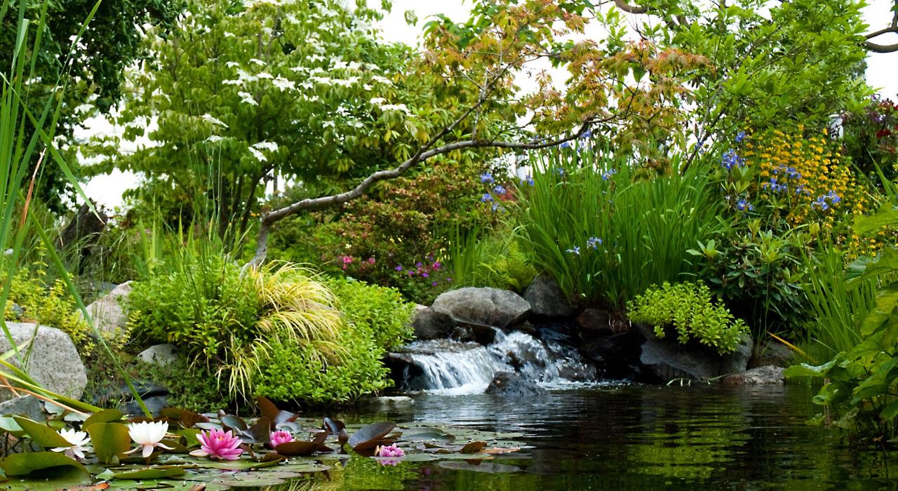 海莱西塔科植物园中一处静谧的泻湖 海莱西塔科植物园中一处静谧的泻湖