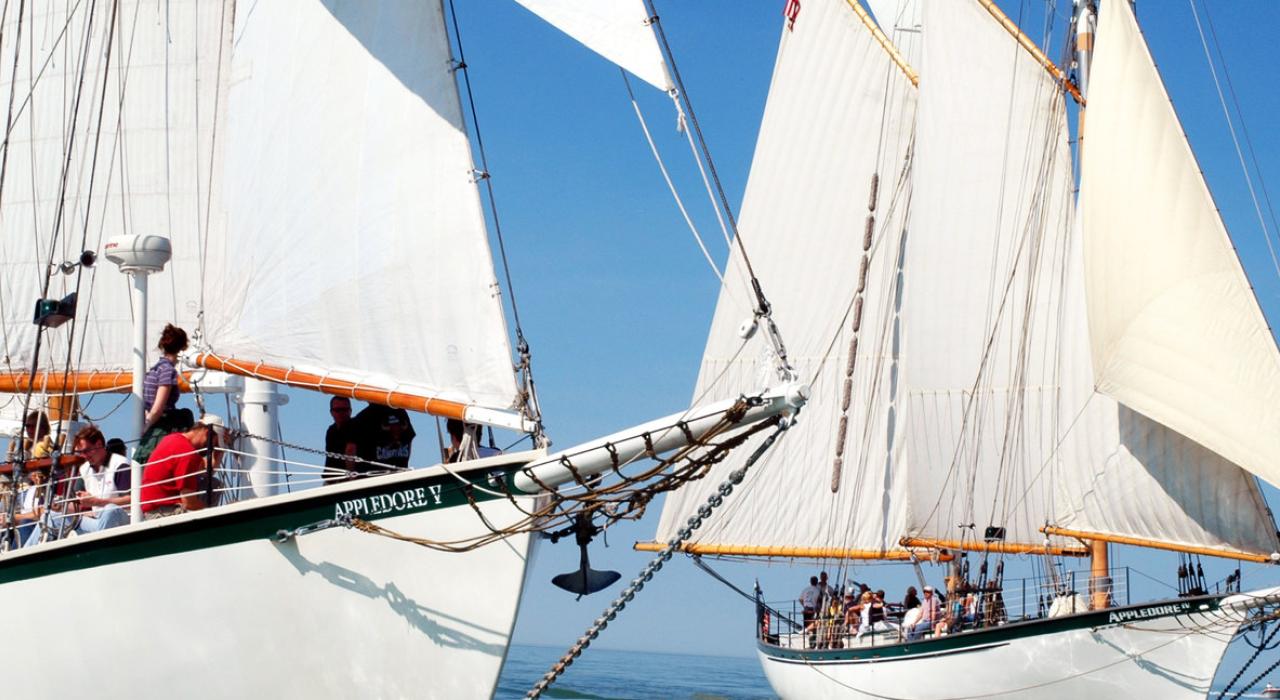 BaySail’s impressive Appledore Tall Ships setting sail BaySail’s impressive Appledore Tall Ships setting sail