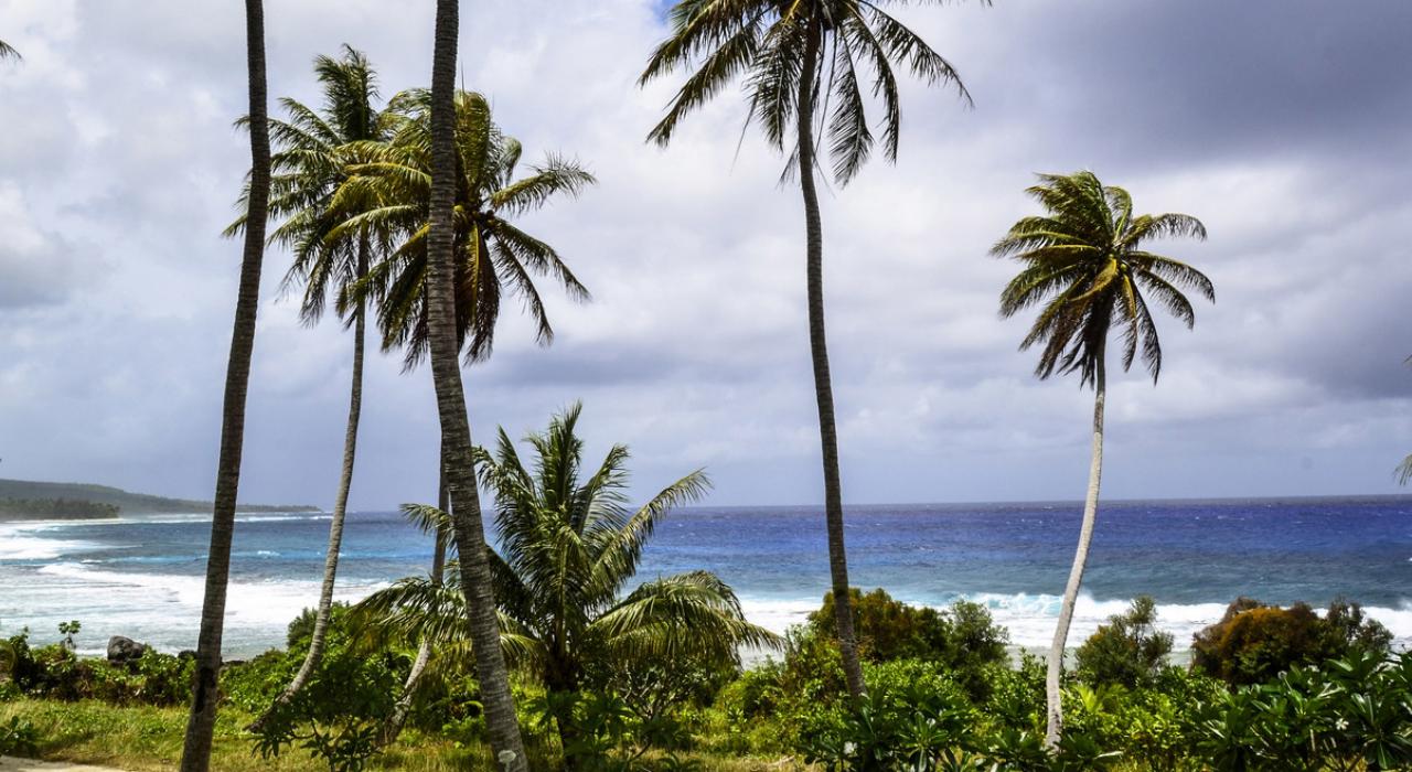 穿过棕榈树,欣赏无边的蔚蓝大海 穿过棕榈树,欣赏无边的蔚蓝大海