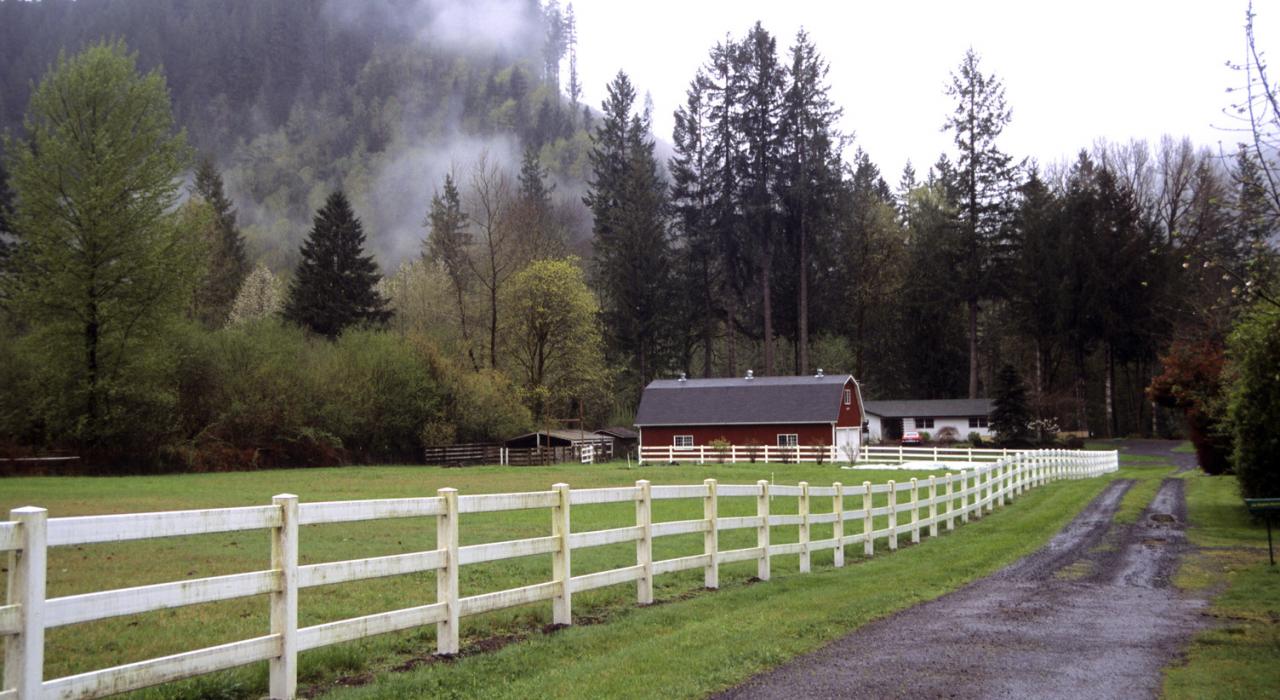 尤金附近农场的黎明晨雾 尤金附近农场的黎明晨雾