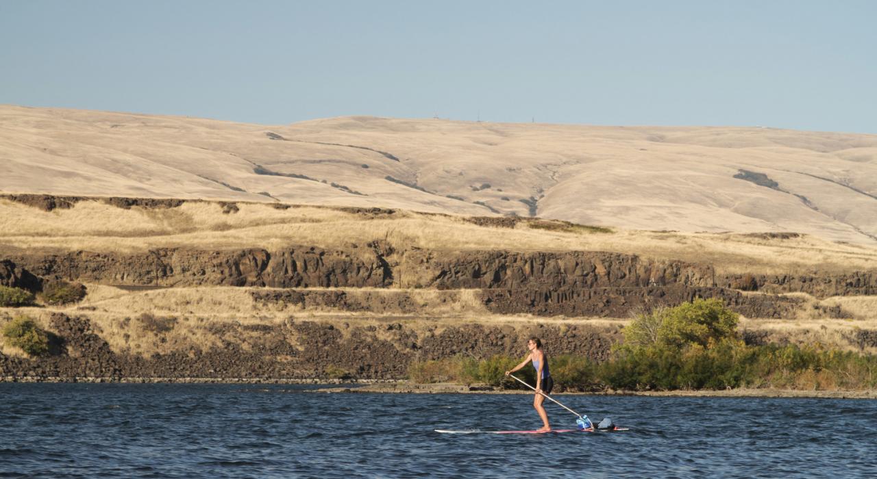 在俄勒冈州的哥伦比亚河上享受浆板冲浪 在俄勒冈州的哥伦比亚河上享受浆板冲浪