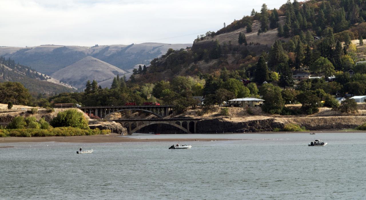 在俄勒冈州哥伦比亚河附近划船 在俄勒冈州哥伦比亚河附近划船